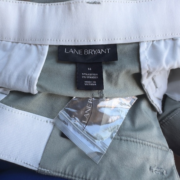 Lane Bryant Green Flat Front Shorts - Picture 2 of 8